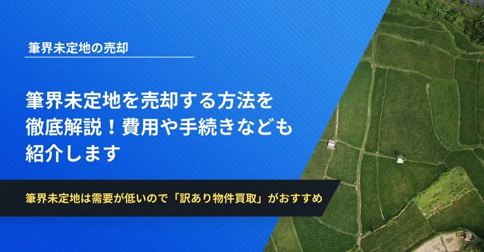 筆界未定地を売却する方法を徹底解説！費用や手続きなども紹介します