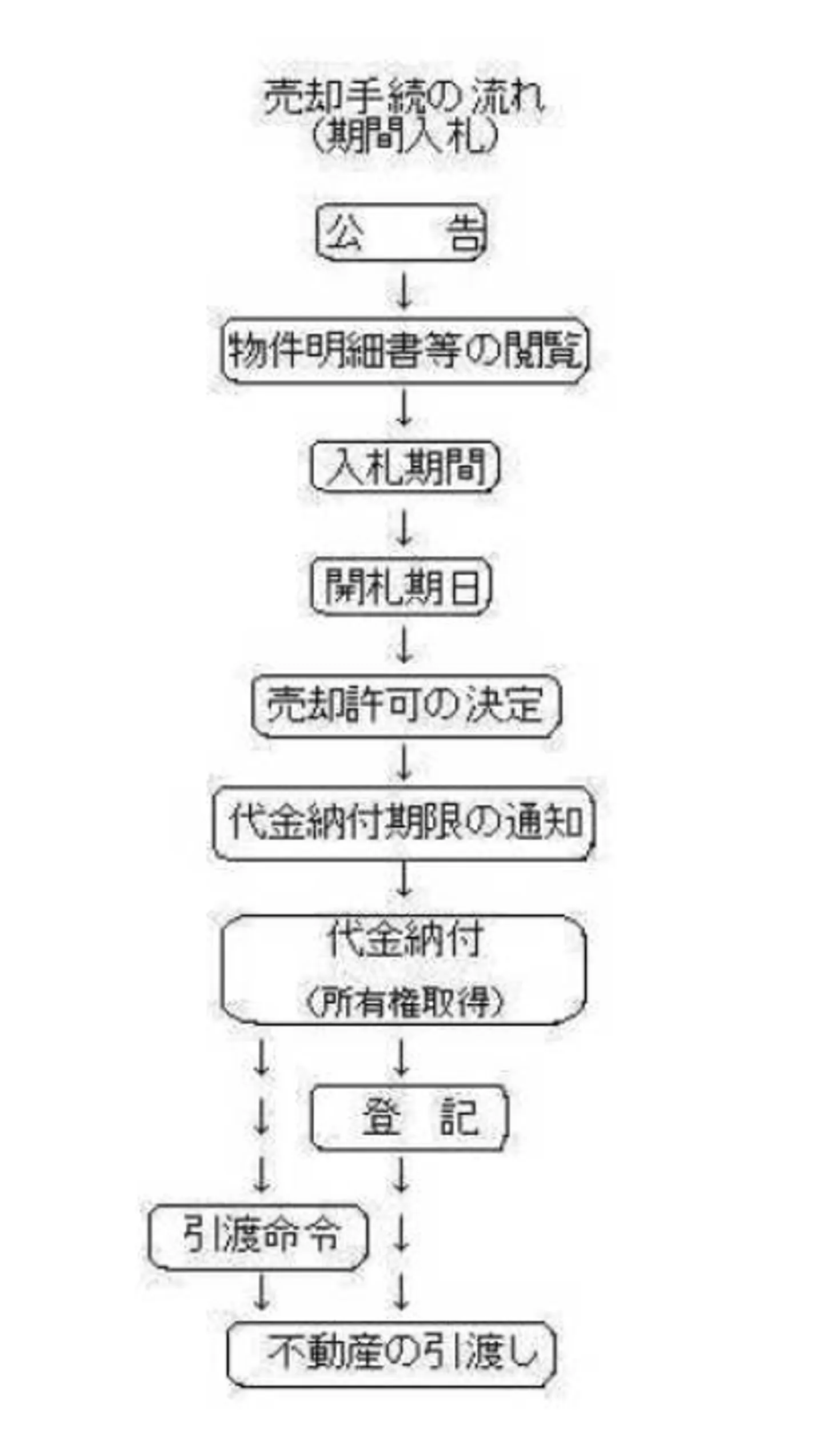 競売の流れ